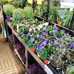 Photo n° 4 de l'avis de Asl.s fait le 20/05/2019 à 21:17 pour IKEA Mulhouse à Morschwiller-le-Bas