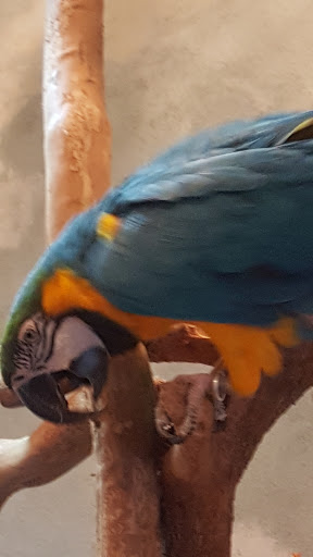 Pet Supply Store «PetKraze», reviews and photos, 100 Independent Way, Brewster, NY 10509, USA