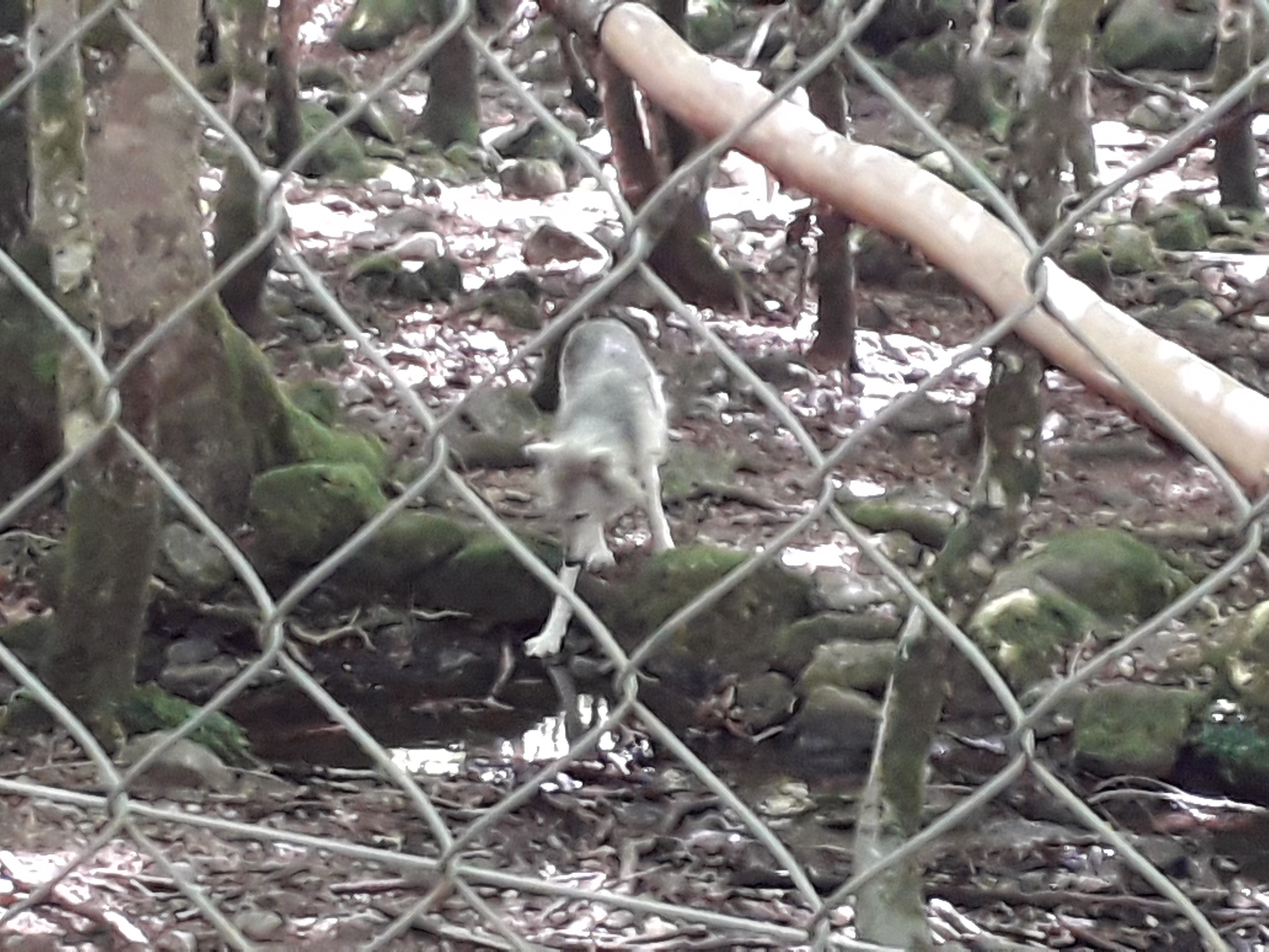 Photo n° 5 de l'avis de Franck.i fait le 19/07/2020 à 15:45