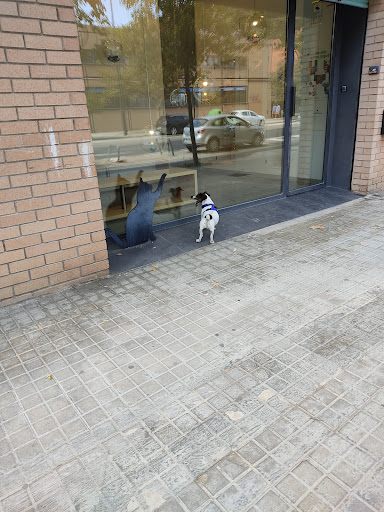 Vetalia Clínica Veterinaria en Valencia