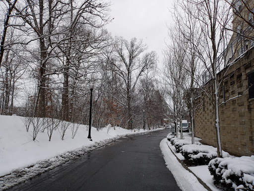 Recreation Center «Arlington Mill Community Center», reviews and photos, 909 S Dinwiddie St, Arlington, VA 22204, USA