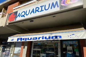 Aquarium di Massimiliano Troncale Scandicci image