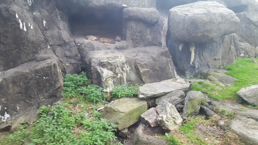 Zoo «Bronx Zoo», reviews and photos, 2300 Southern Blvd, Bronx, NY 10460, USA