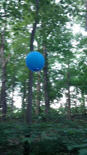 Nature Preserve «Red Oaks Nature Center», reviews and photos, 30300 Hales St, Madison Heights, MI 48071, USA