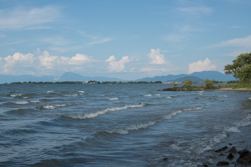 湖岸緑地 栗見新田