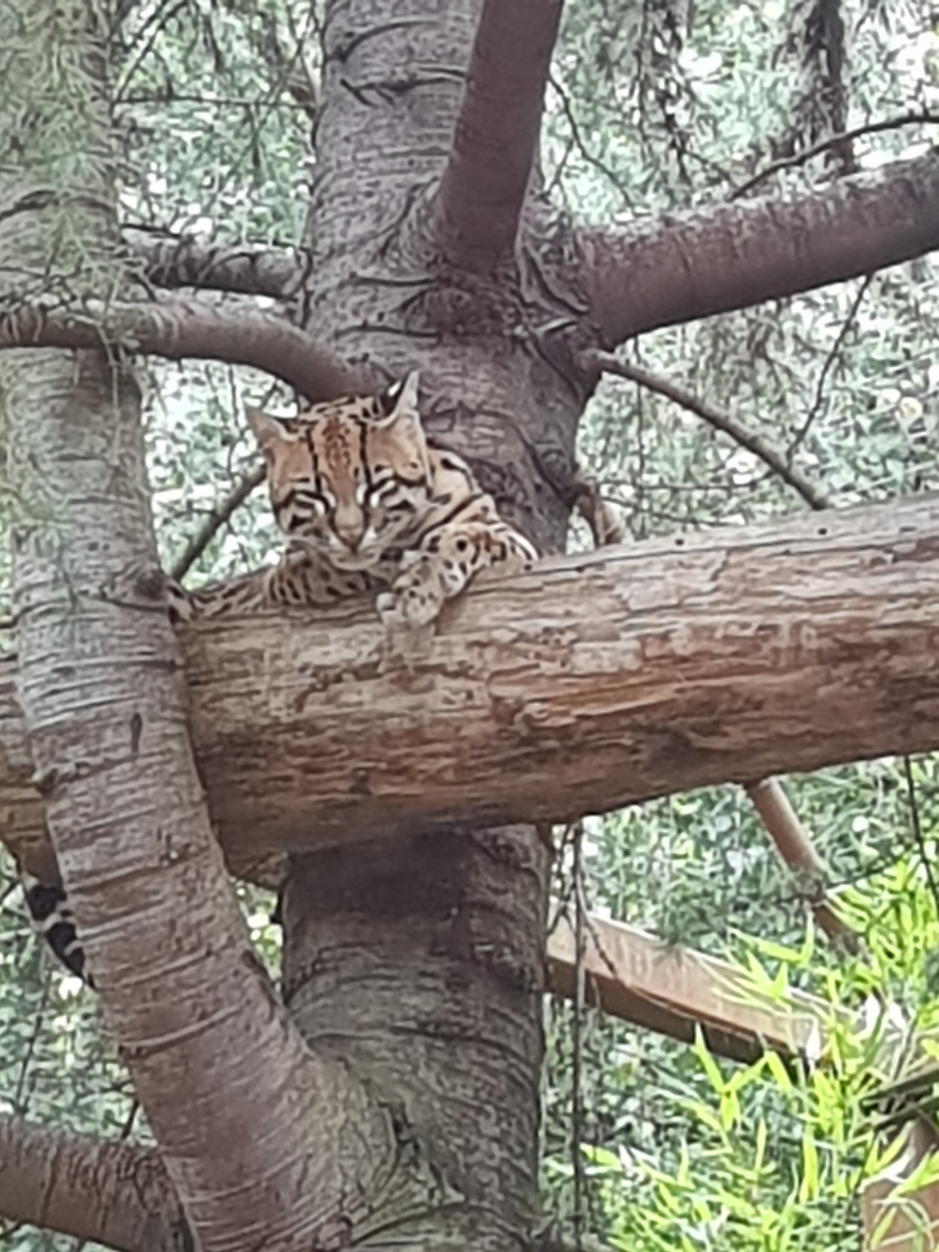 Photo n° 9 de l'avis de King.t fait le 15/09/2021 à 12:05