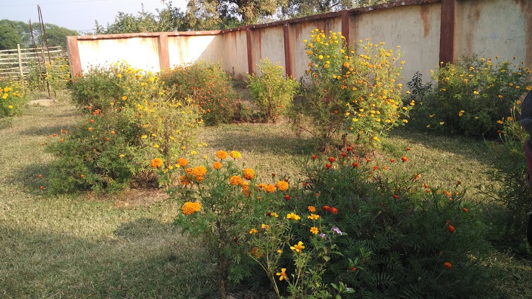 अग्र परियोजना केंद्र,चक्रधरपुर