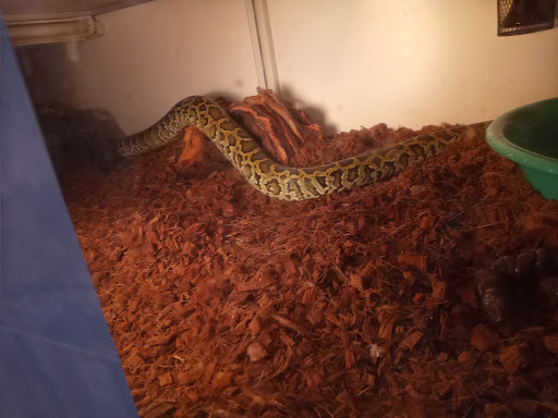 Pet Store «S & S Exotic Animals Inc», reviews and photos, 1711 Connorvale Rd, Houston, TX 77039, USA