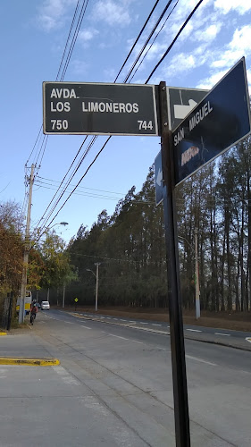 Liceo San Sebastian - Escuela