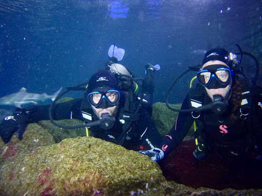 Dive Shop «A-1 Scuba & Travel Aquatic Center», reviews and photos, 1603 W Belleview Ave, Littleton, CO 80120, USA