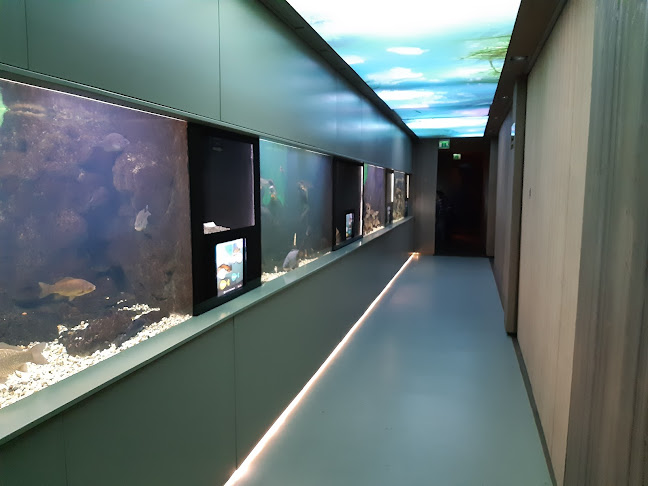 Értékelések erről a helyről: Bodorka Balatoni Vízivilág Látogatóközpont- Balaton Aquarium, Balatonfüred - Utazási iroda