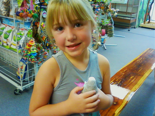 Pet Store «Adventure Birds of Bon Aqua», reviews and photos, 9600 TN-46, Bon Aqua, TN 37025, USA