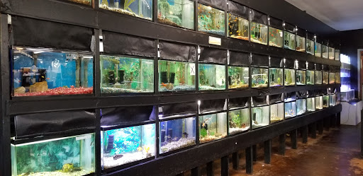 Tropical Fish Store «Two Turtles Pet Center», reviews and photos, 760 W Market St, Akron, OH 44303, USA