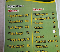 Ayam penyet sumbing photo