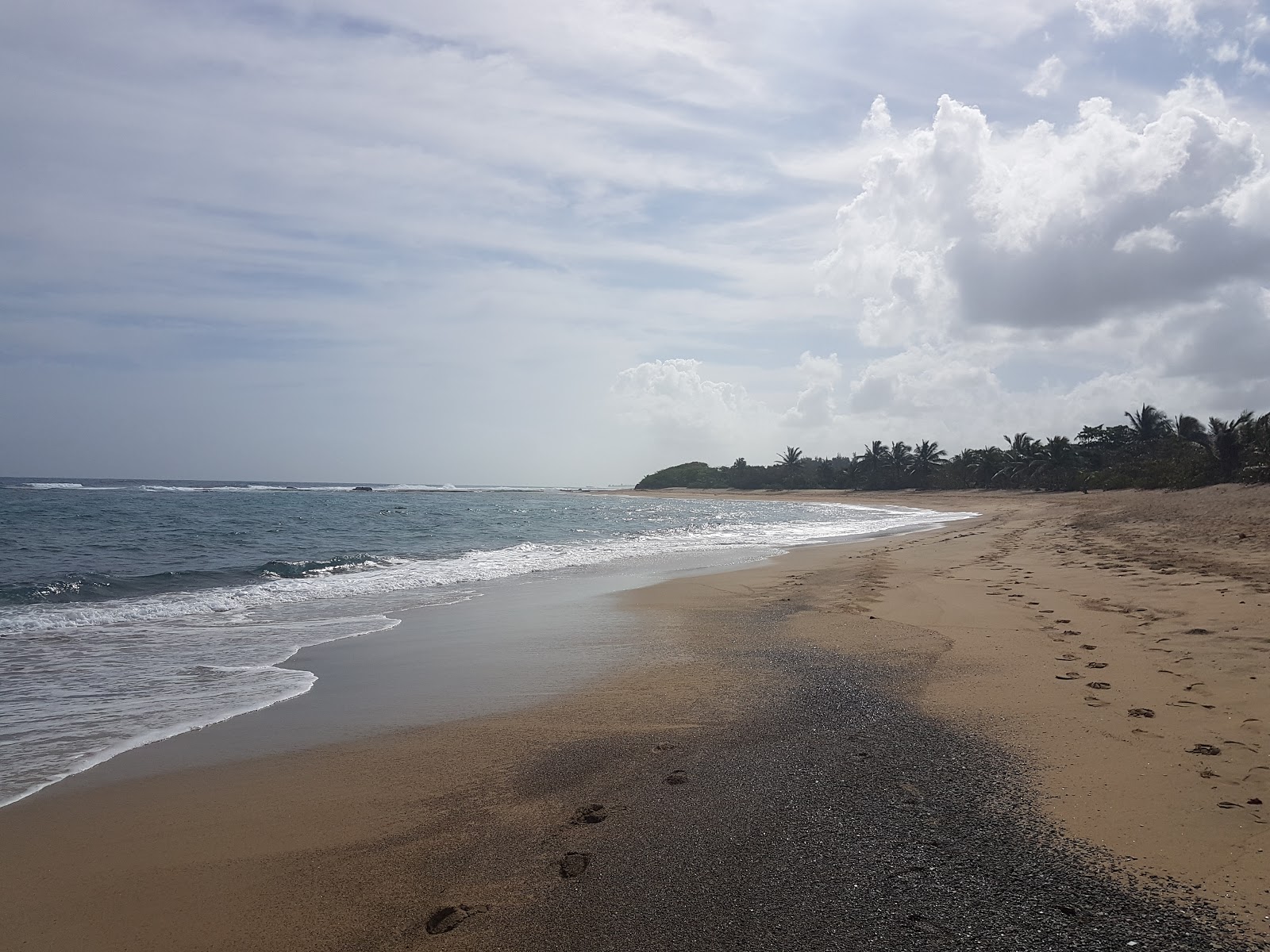 Fotografija Los Pinos beach z modra voda površino