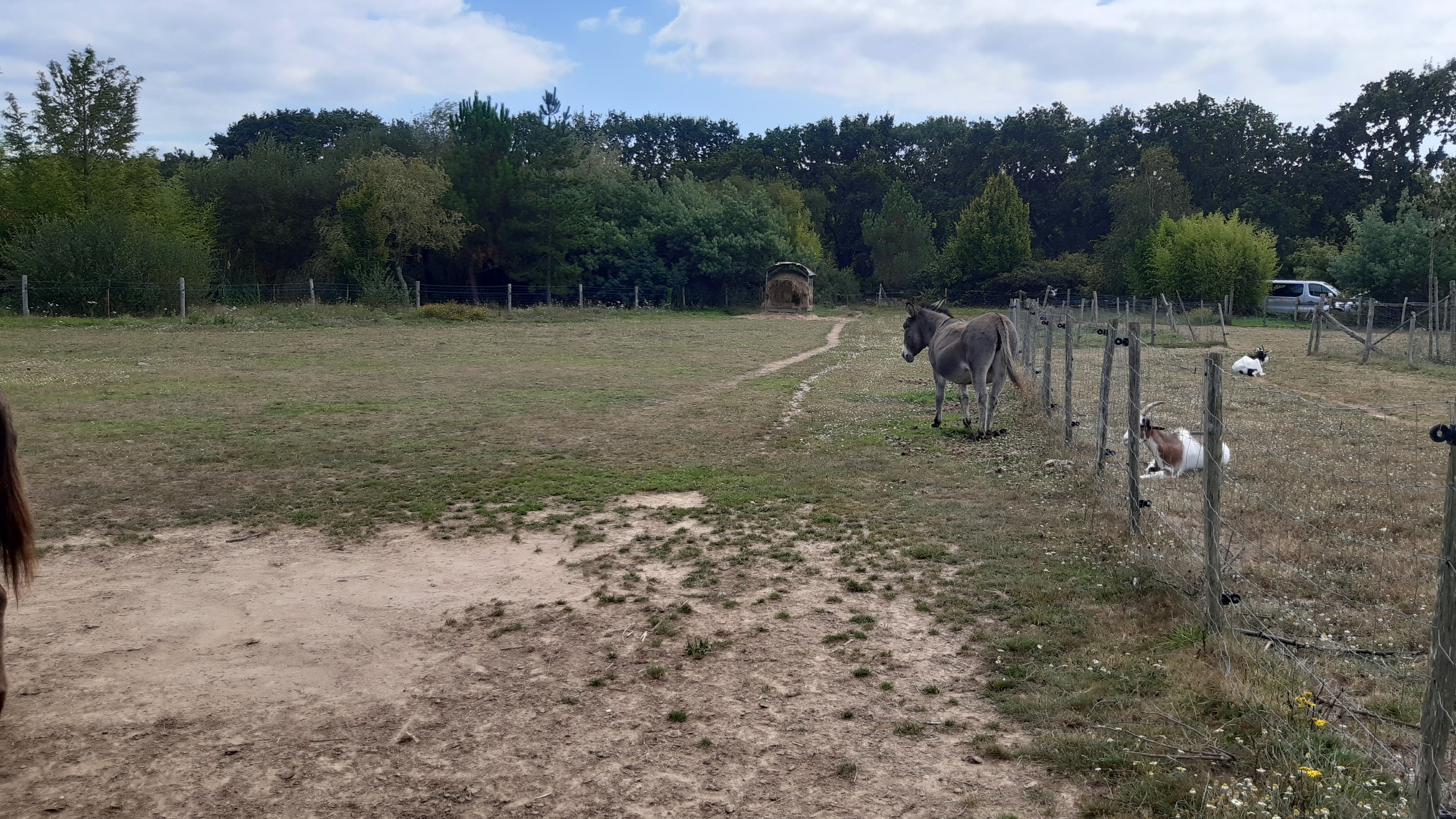 Photo n° 2 de l'avis de AGNES.E fait le 27/08/2021 à 17:14