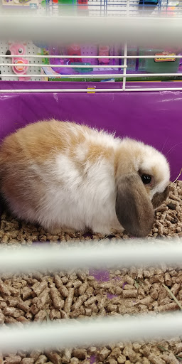 Pet Store «Delhi Pet Center», reviews and photos, 5665 Rapid Run Rd, Cincinnati, OH 45238, USA