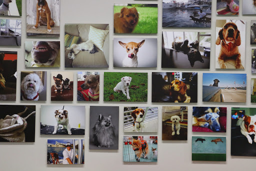  «Animal Crackers», reviews and photos, 280 NE 2nd St, Miami, FL 33132, USA