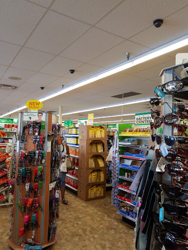 Dollar Store «Dollar Tree», reviews and photos, 672 Elden St, Herndon, VA 20170, USA