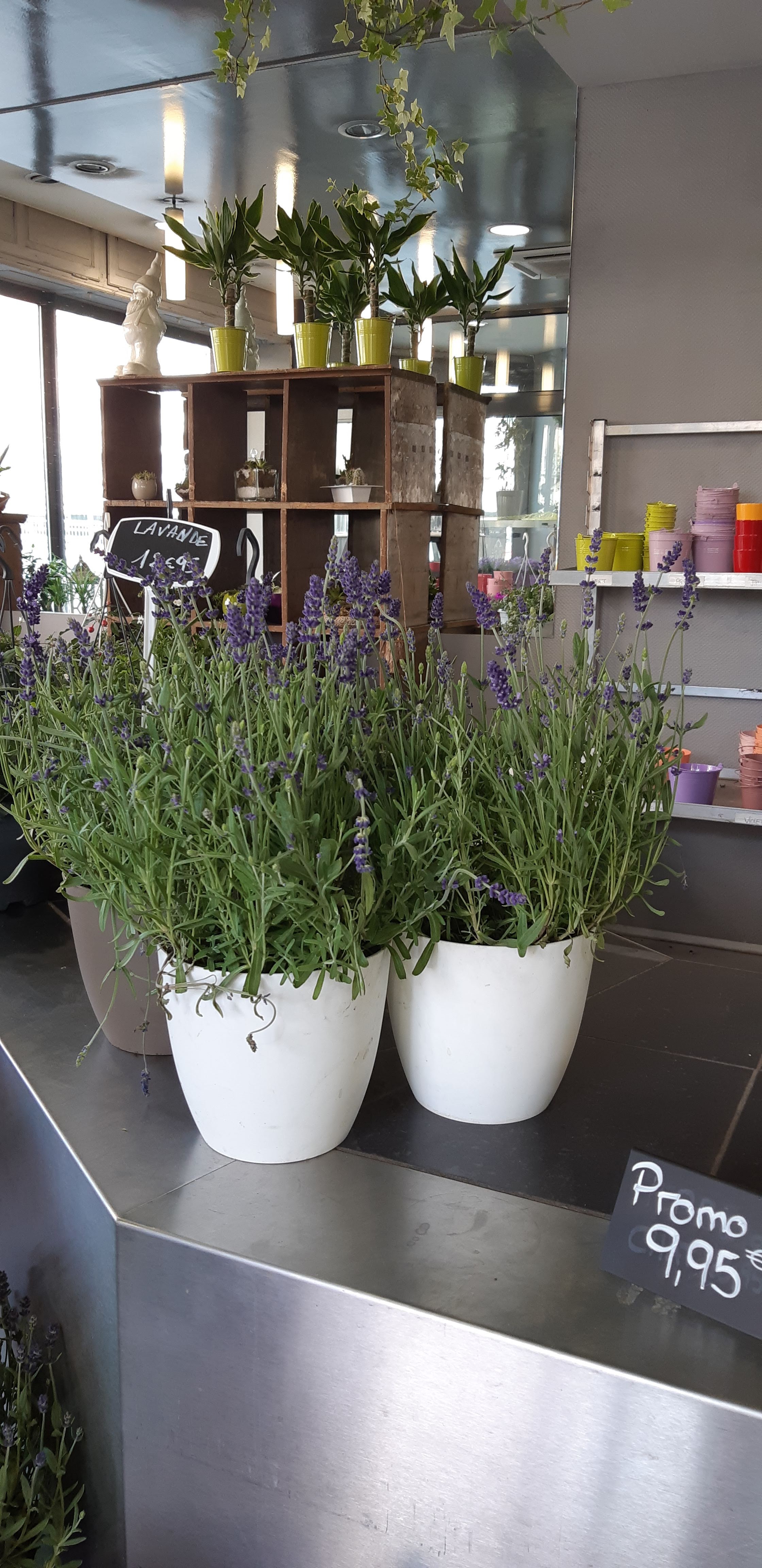 Photo n° 15 de l'avis de Del.t fait le 06/07/2019 à 07:39