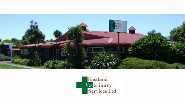 Eastland Veterinary Services Gisborne