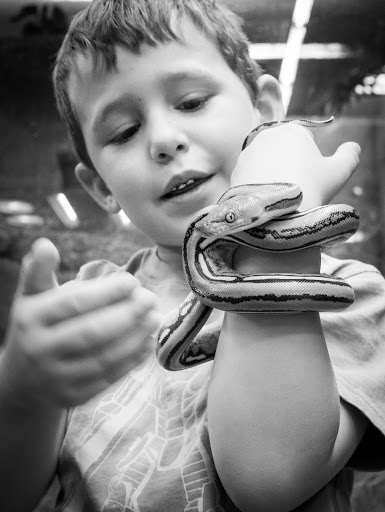 Pet Store «Lost Realms Pets», reviews and photos, 8059 N Cedar Ave, Fresno, CA 93720, USA