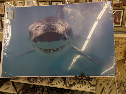 Craft Store «Hobby Lobby», reviews and photos, 6250-A Northwest Hwy, Crystal Lake, IL 60014, USA