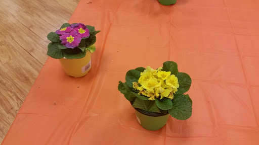 Grocery Store «Winn-Dixie», reviews and photos, 4476 Montevallo Rd, Birmingham, AL 35213, USA