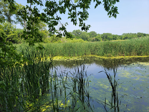 Park «Dr. Martin Luther King Jr. Park», reviews and photos, 42 N Farnsworth Ave, Aurora, IL 60505, USA