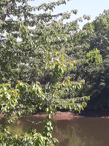 Recreation Center «Tukwila Community Center», reviews and photos, 12424 42nd Ave S, Tukwila, WA 98168, USA