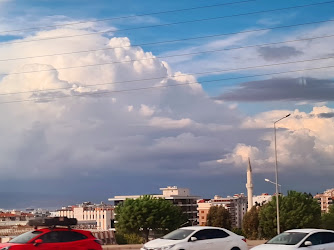 Ege Üniversitesi Aliağa Meslek Yüksekokulu