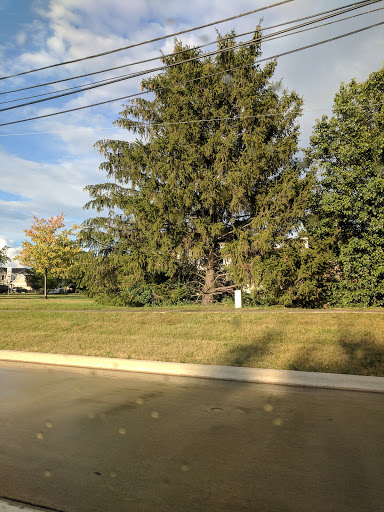 Park «Griffin Park», reviews and photos, Griffin Park E, Canton, MI 48187, USA