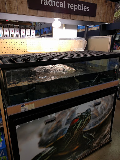 Pet Supply Store «Petco Animal Supplies», reviews and photos, 190 Quality Dr, Hooksett, NH 03106, USA