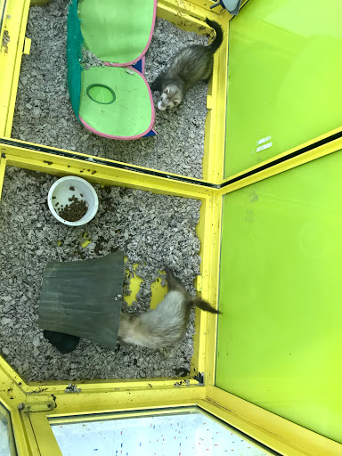 Pet Supply Store «Pet Supplies Plus», reviews and photos, 5092 Mayfield Rd, Lyndhurst, OH 44124, USA