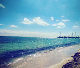 Av Cigueñas Villas Del Sol Park photo