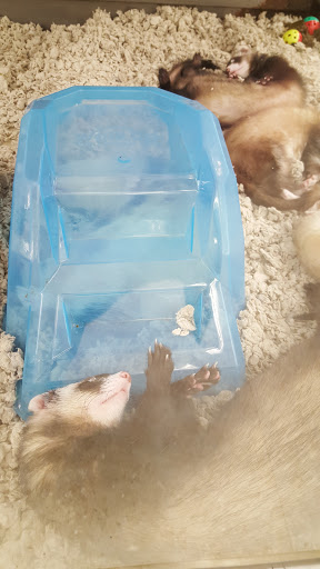 Pet Supply Store «Petco Animal Supplies», reviews and photos, 280 Kensington Blvd, Slidell, LA 70458, USA