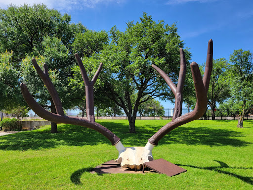 Fence Company Abilene TX