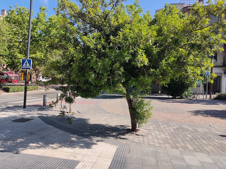 Ayuntamiento de Majadahonda