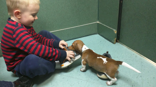 Pet Store «Petland», reviews and photos, 2123 Old Hudson Rd, St Paul, MN 55119, USA