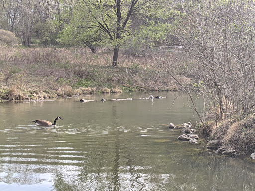 Nature Preserve «Beechwood Farms Nature Reserve», reviews and photos, 614 Dorseyville Rd, Pittsburgh, PA 15238, USA