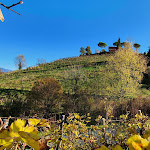 Photo n°2 de l'avis de Claudio.i fait le 08/11/2020 à 17:41 sur le  Osteria Al Cacciatore Di Gusatto Maria à Zuel di Qua