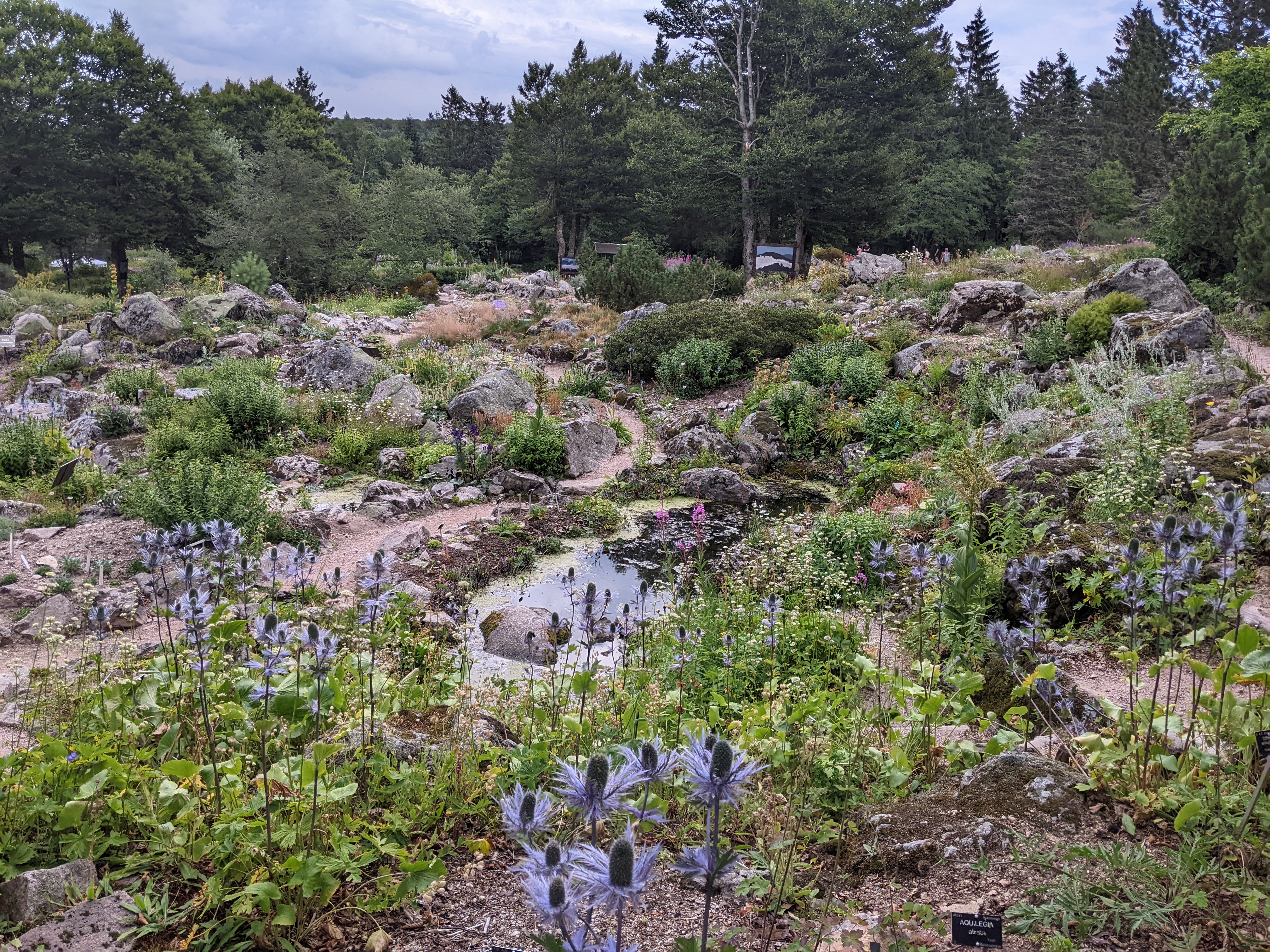 Photo n° 1 de l'avis de Mathieu.C fait le 28/07/2022 à 15:57