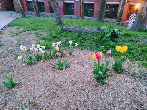 Park «Astoria Park», reviews and photos, 19 19th St, Queens, NY 11105, USA