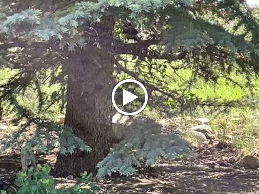 Department Store «Walmart Supercenter», reviews and photos, 6545 N Landmark Dr, Park City, UT 84098, USA