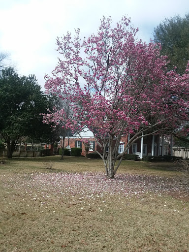 Country Club «Dothan Country Club», reviews and photos, 200 S Cherokee Ave, Dothan, AL 36301, USA