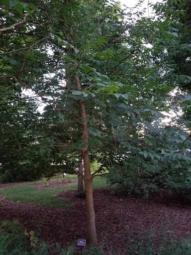 Public Golf Course «Pottawatomie Golf Course», reviews and photos, 845 N 2nd Ave, St Charles, IL 60174, USA