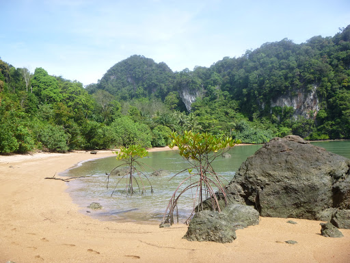 Tour Agency «Asia Transpacific Journeys», reviews and photos, 2995 Center Green Ct, Boulder, CO 80301, USA