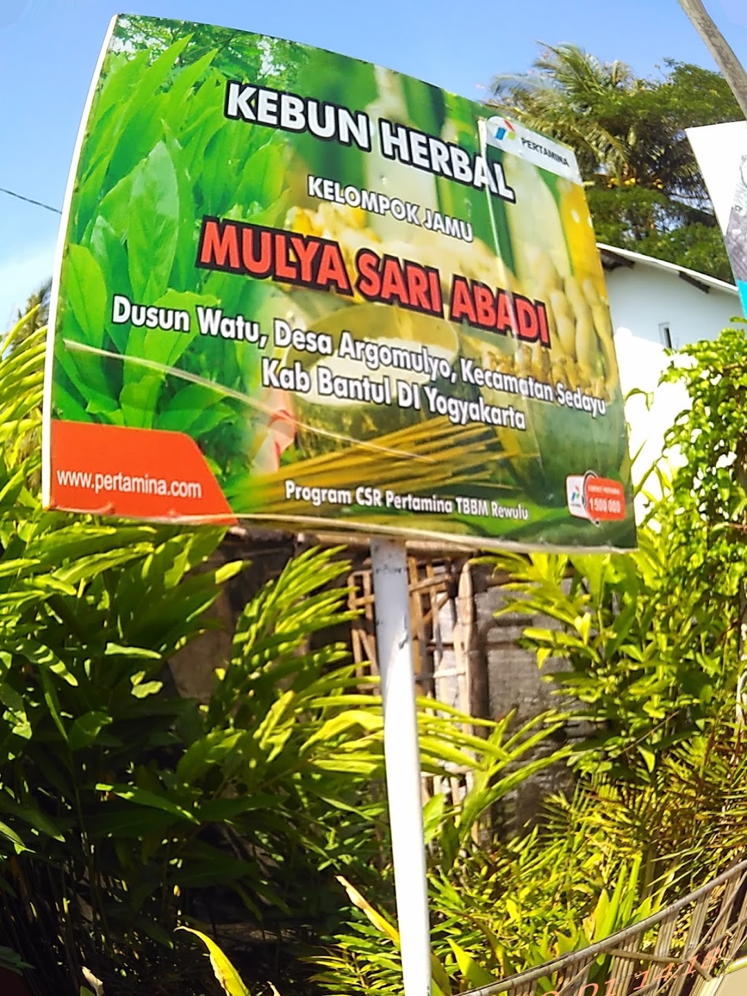 kebun herbal mulya sari abadi