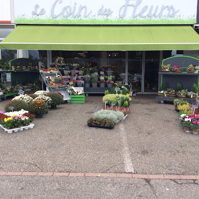 Le coin des fleurs à Sélestat