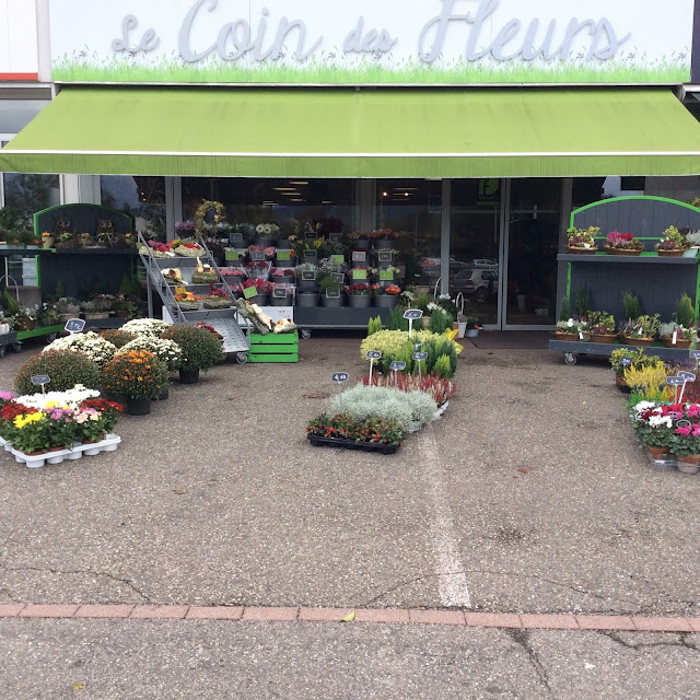 Le coin des fleurs